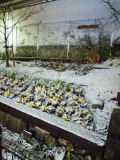 20100201204058.jpg