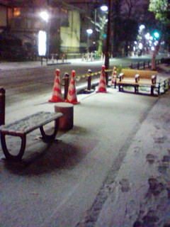 20100309211313.jpg