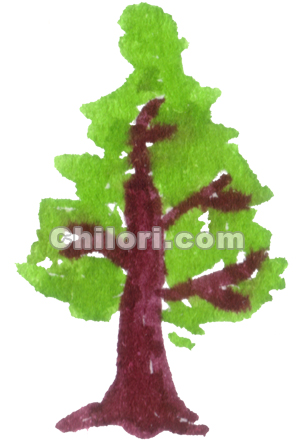 eco02.jpg