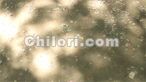 photo08.jpg